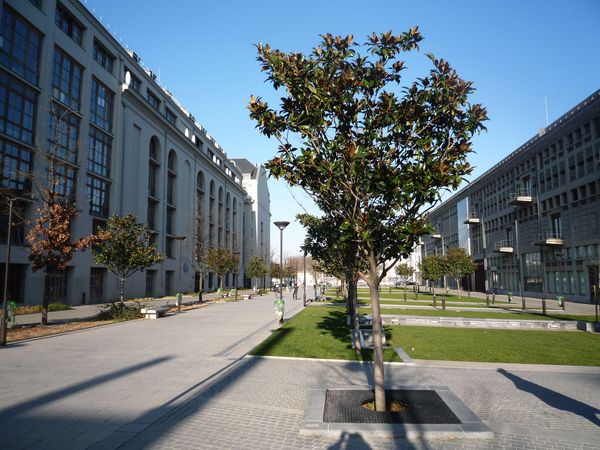 Aire de promenade et de détente entre les Grands Moulins d