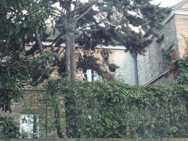 Pavillon dans un jardinet, mur couvert de lierre, rue du Lo