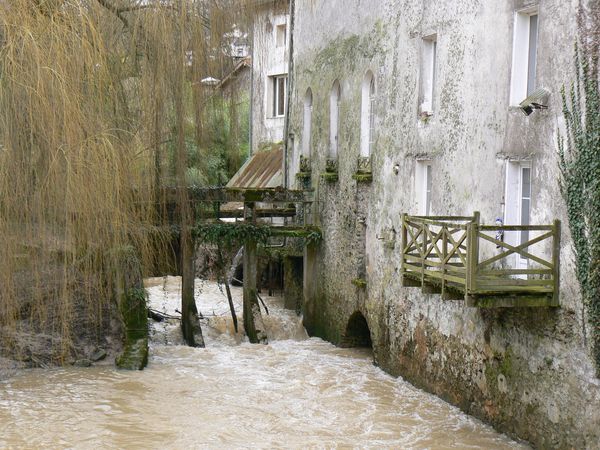 La celle en bas 3.2.2013