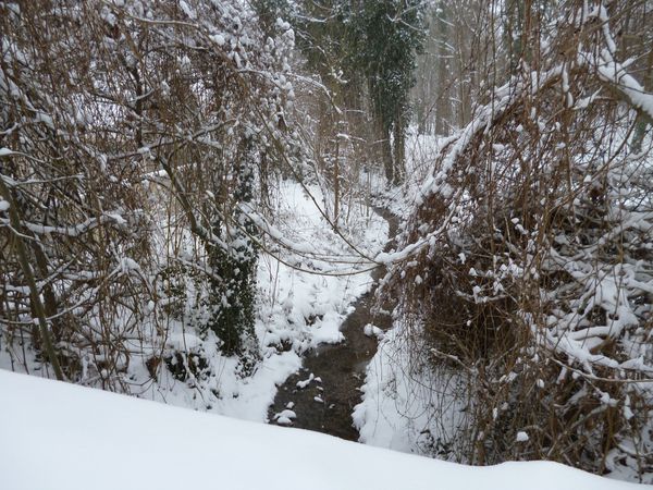 souilly ru botteret 20.1.2013