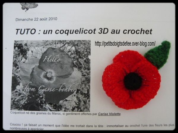 coquelicot-1.JPG