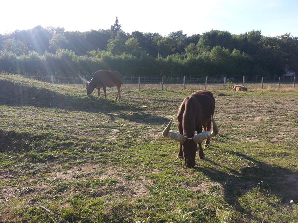 20130902_180933.jpg