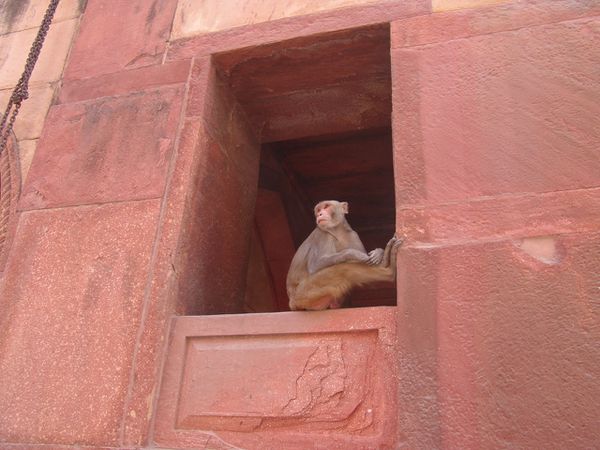 DSC02009.JPG