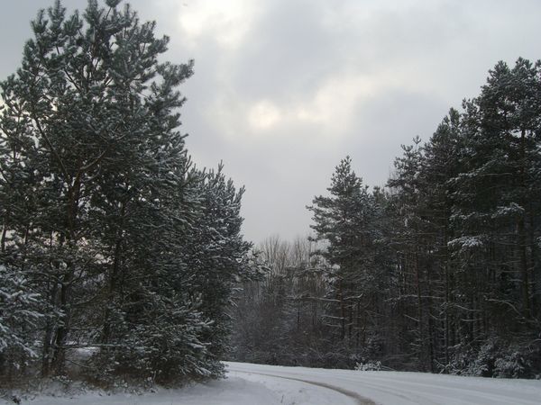 IMGP1977