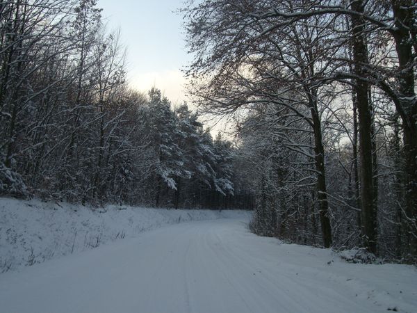 IMGP1978