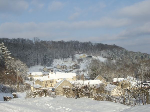 IMGP2004