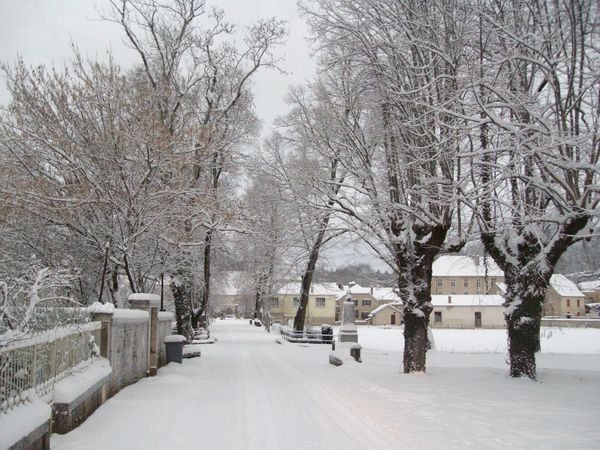 IMGP2009