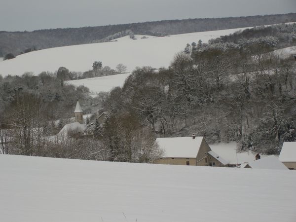 IMGP2041
