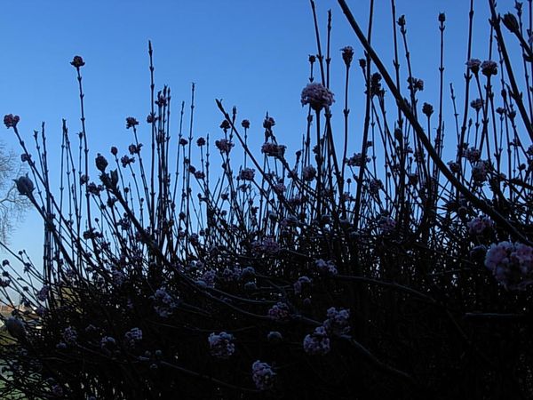 DSCN9967