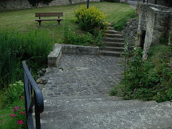 DSCN9780