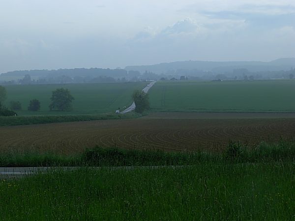 DSCN0323
