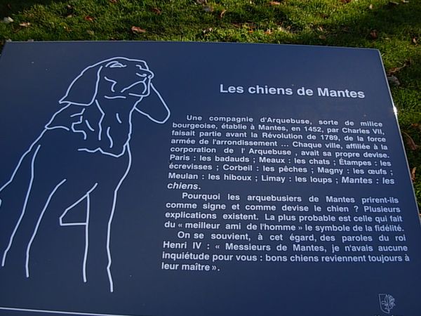 DSCN0423.JPG