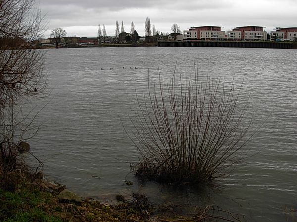 DSCN9344.JPG