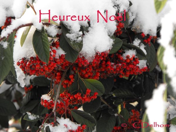 heureux-noel.JPG