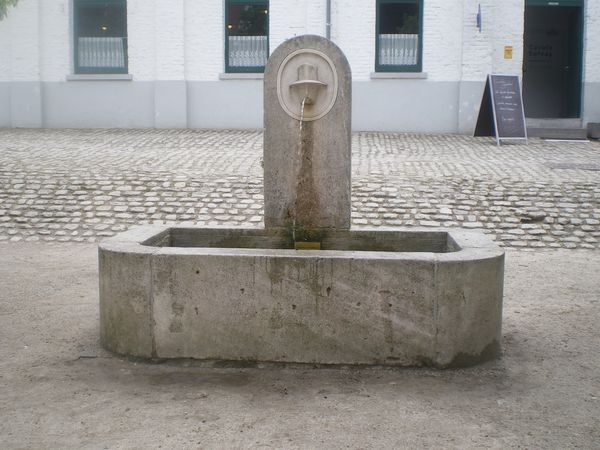 IMGP8622.JPG