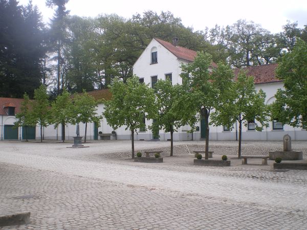 IMGP8627.JPG