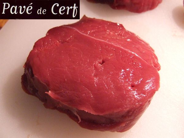 cerf (4)