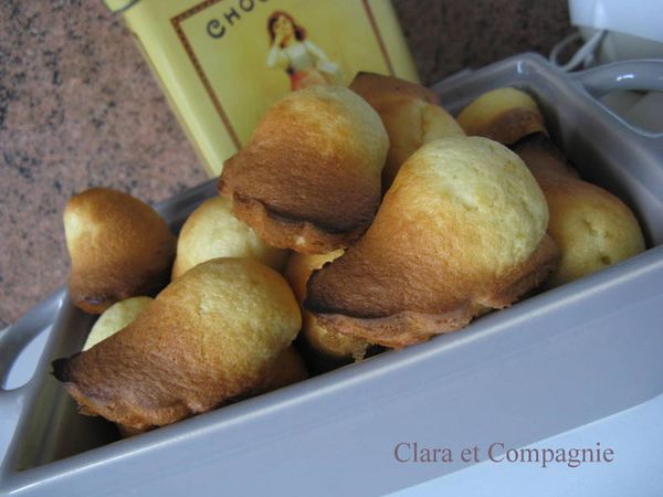 Photo-007-copie-4.jpg
