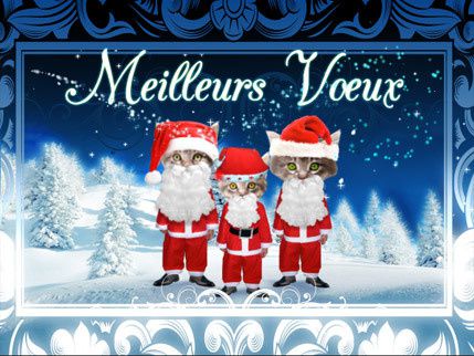 Cartes-Chat-Noel.jpg