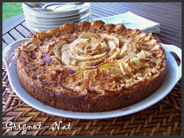 gateau-ricotta-pomme-raisin-2.jpg