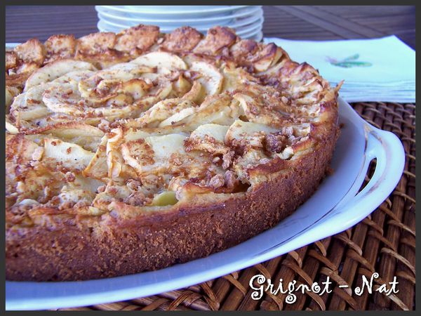 gateau-ricotta-pomme-raisin-3.jpg