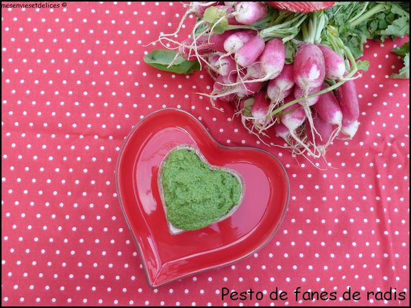 pesto-fanes-radis.jpg