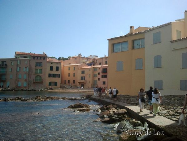 st tropez Photo0134