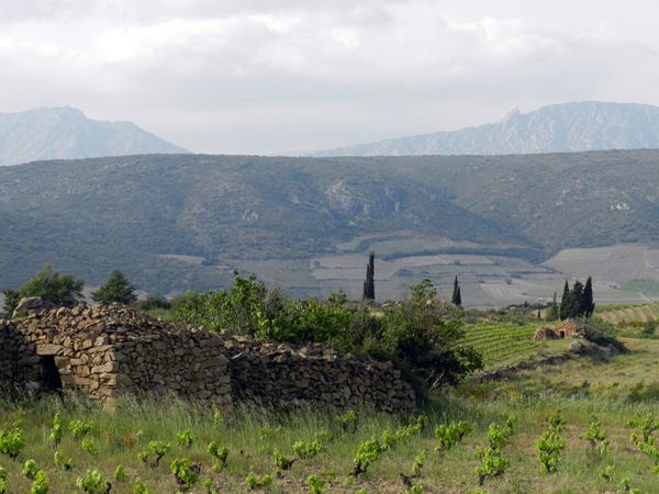 balade-Capitelles.JPG