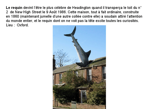 Statues 4