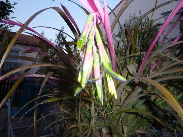 P1010731