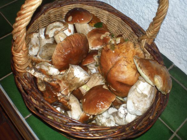 PA210001.JPG