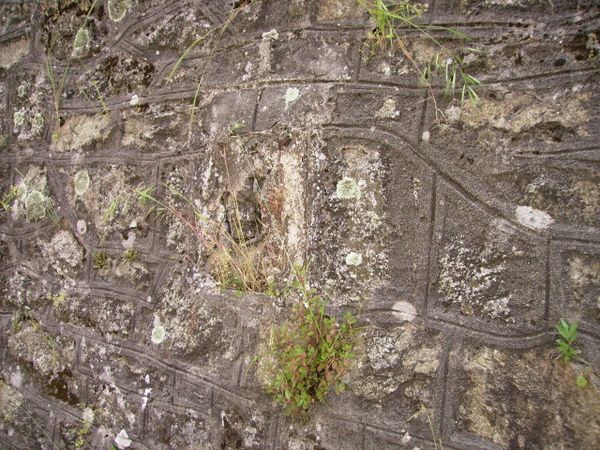 emplacement boîte aux lettres.