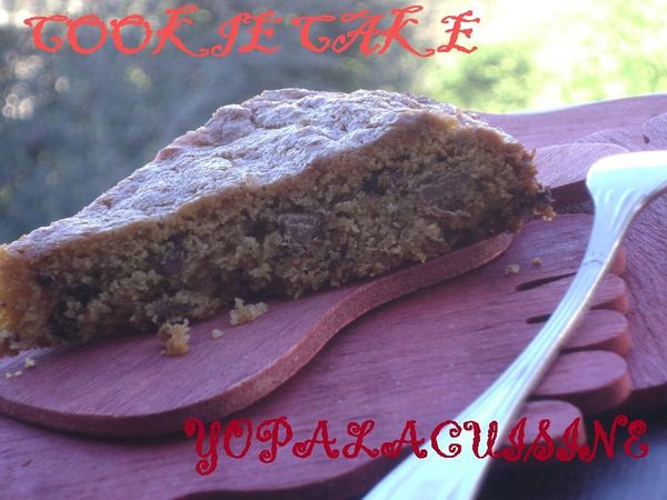 Diapositive3-copie-8