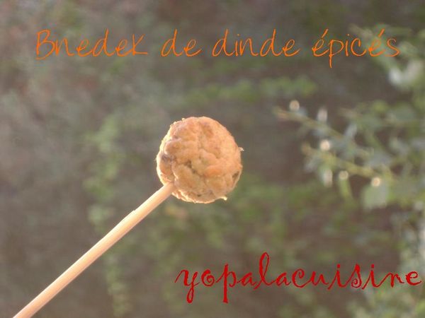 Diapositive2-copie-3