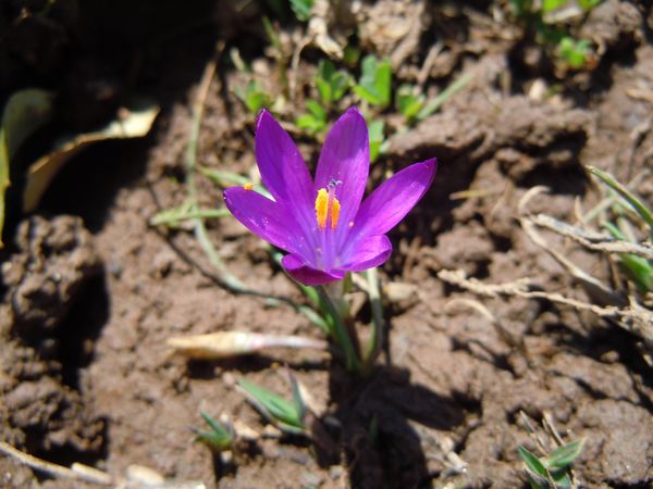 DSCN2593