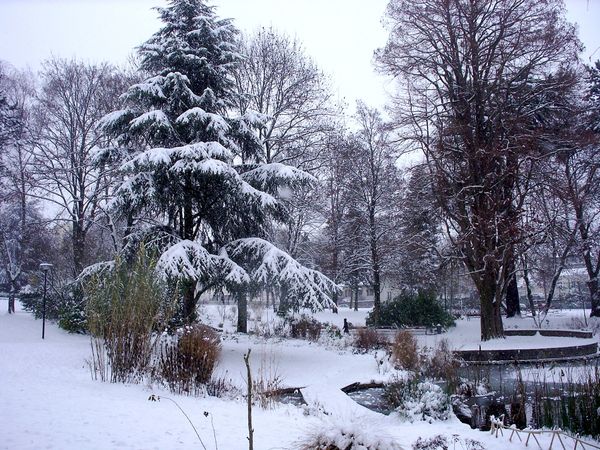 Parc-V.-Thuillat-ski-fond-20-12-09 6446