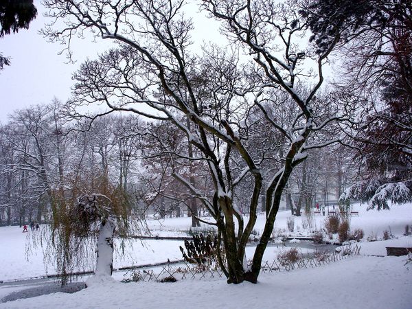 Parc-V.-Thuillat-ski-fond-20-12-09 6449