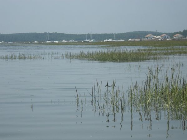 canoe 201408
