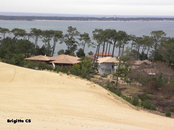 pyla6