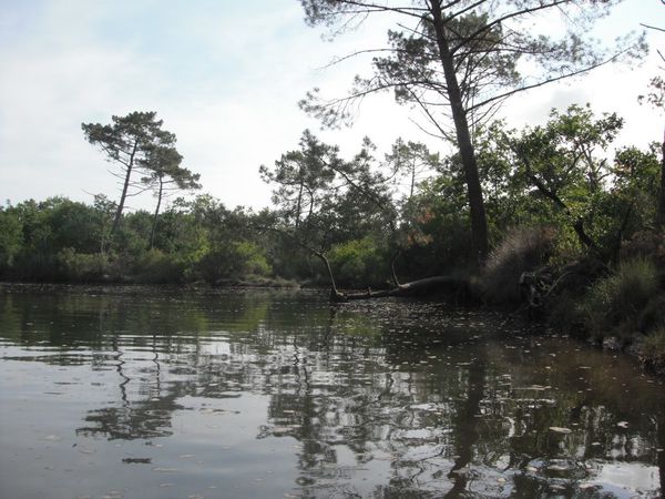 canoe5