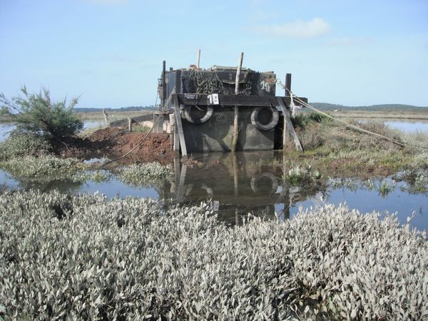 canoe7