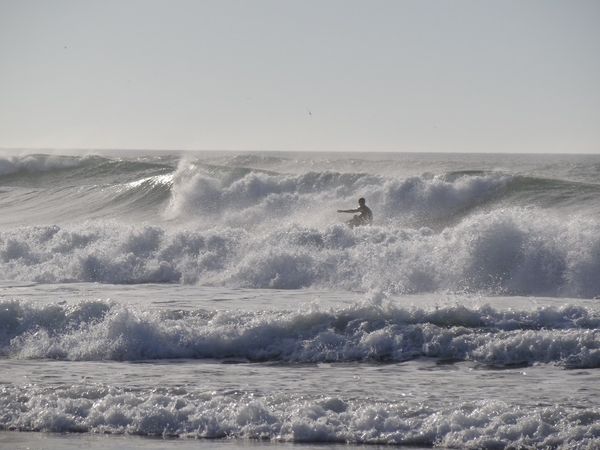 crohot2O11 11 12