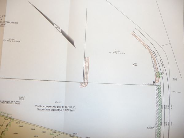 P1040002