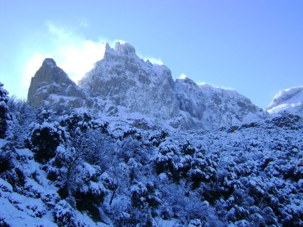 hiver.jpg