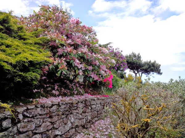 Cancale-20140525_152628.jpg