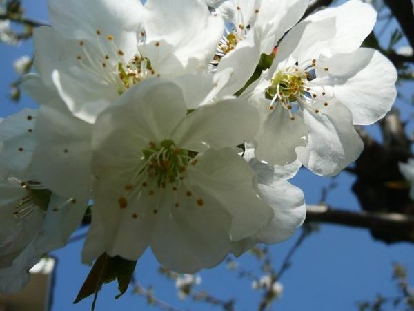 E 002
