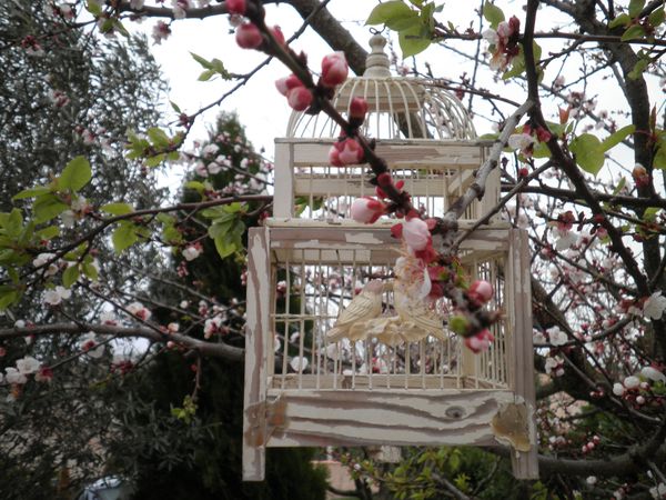 Cage en fleurs