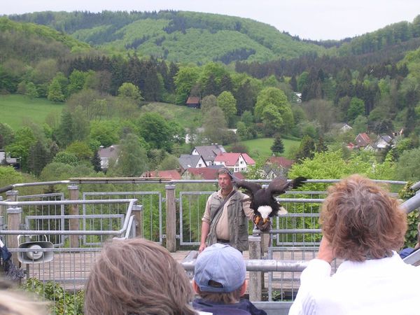 DSCN7400.JPG