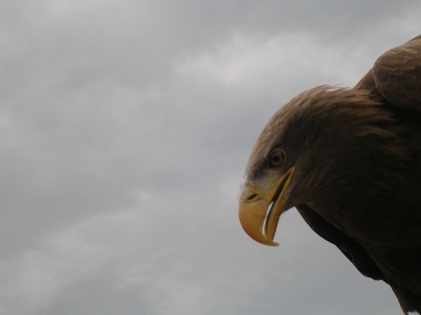 DSCN7407.JPG