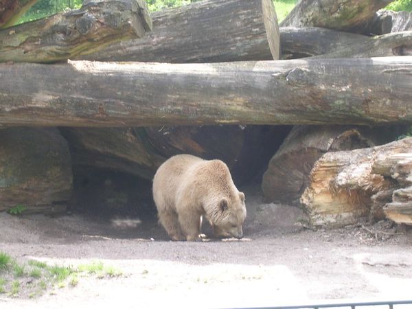 DSCN7560.JPG